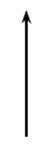 100x300 png elements /1.png 100x300 png elements /1.png